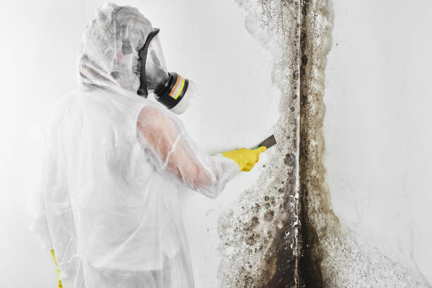 Sewage cleanup and water damage restoration